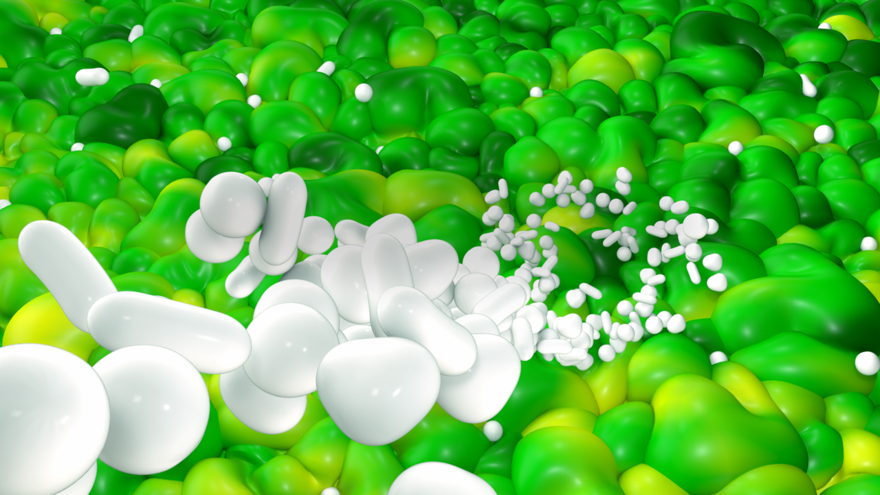 Microbiota intestinal